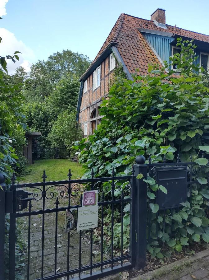 Fewo Haus Patze Betzendorf Экстерьер фото
